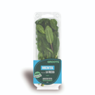 GROOTS Menta Groots