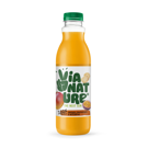 VIA NATURE Suc Mango/maracujà/ginseng 750ml