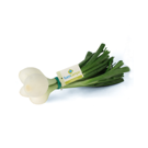 Imagen de Cebolla  Tierna (manojo)