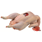 Gallina Sencera Conica - Peça 2,5kg aprox.