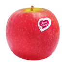 Poma Pink - Peça 220g aprox.