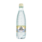 VICHY CATALAN Aigua 50cl
